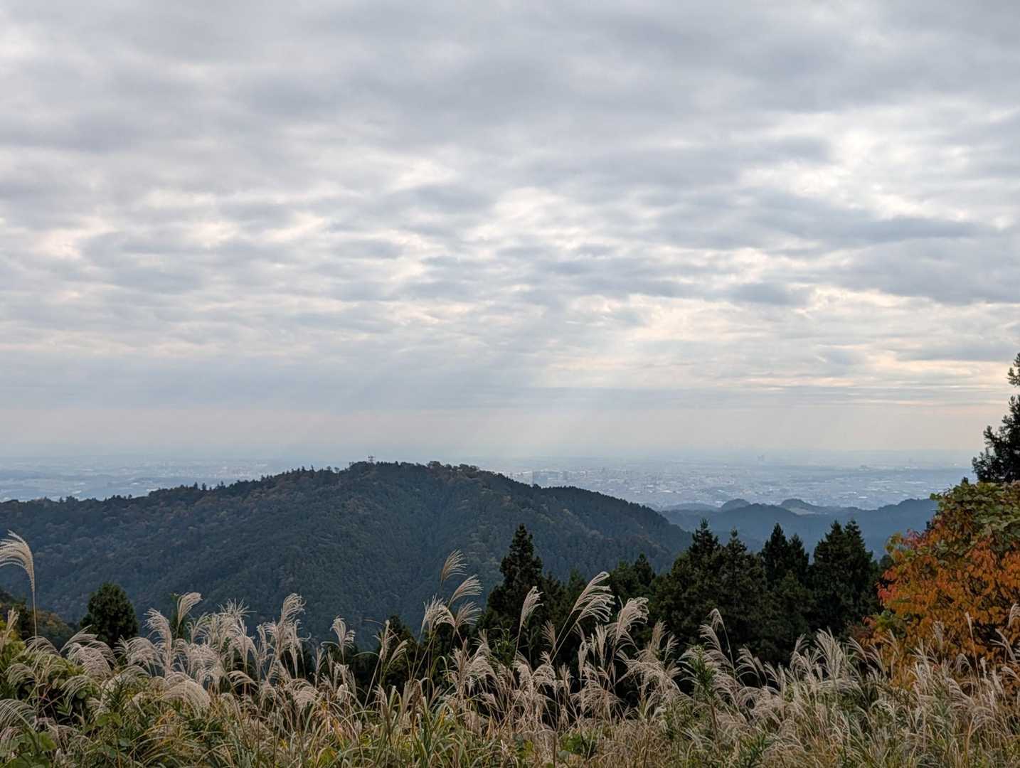 向かいの山は高尾山