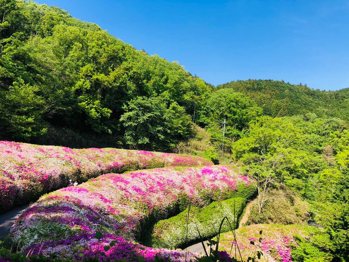 瓢簞山駅-客坊大橋登山口 周回コースの写真