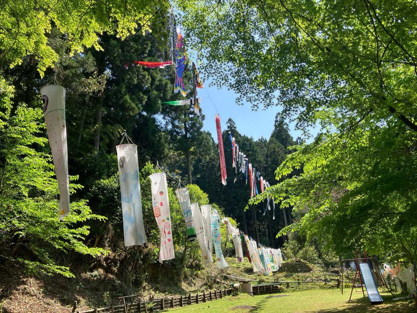 新緑眩しい鞍馬に到着！