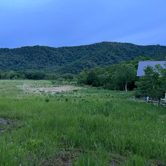 翌日の朝散歩🚶‍♀️