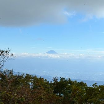 再び茅ヶ岳山頂にて。点々は赤とんぼです