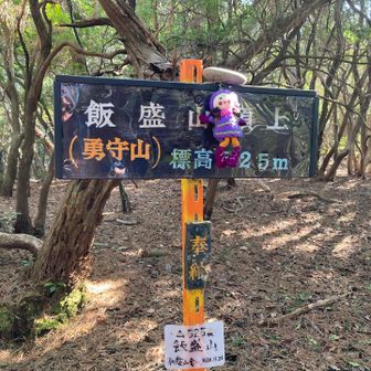 飯盛山(勇守山)⛰️山頂と相棒