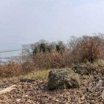 神社からこのつぶやまを通るルートがよさそう。