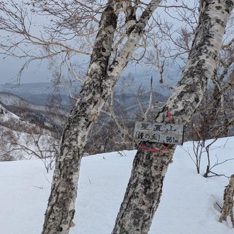 急登は割愛💦
はい山頂〜🎶