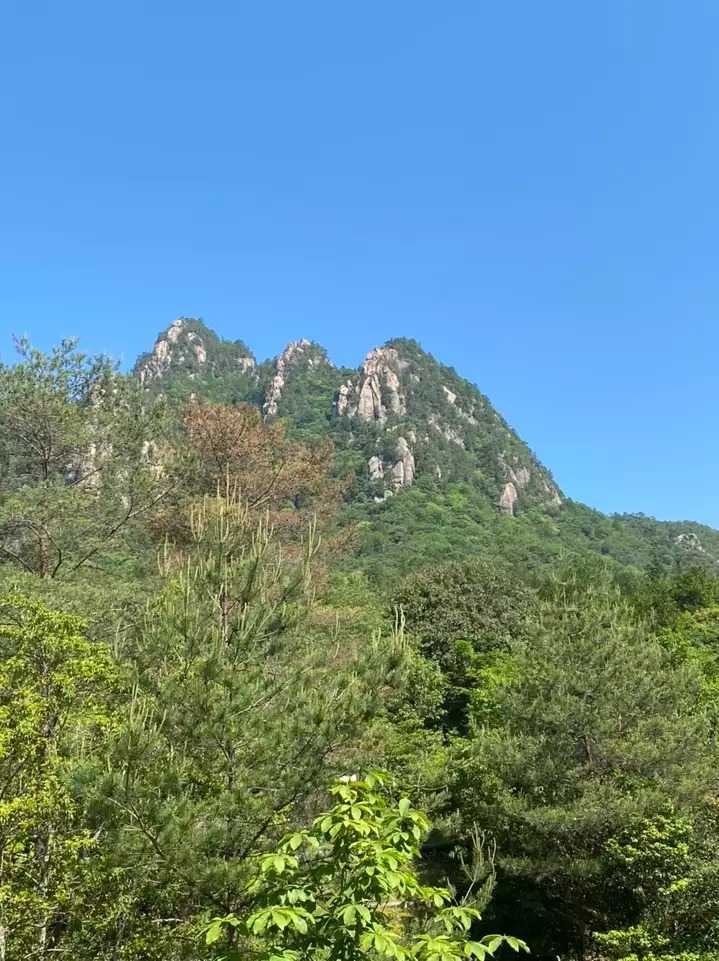 朝日岳の写真