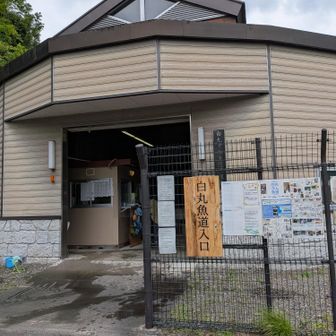 今回の目的の一つ。魚用の道の見学。
ちなみに入場無料、付近の情報マップも幾つかもらえてラッキー。