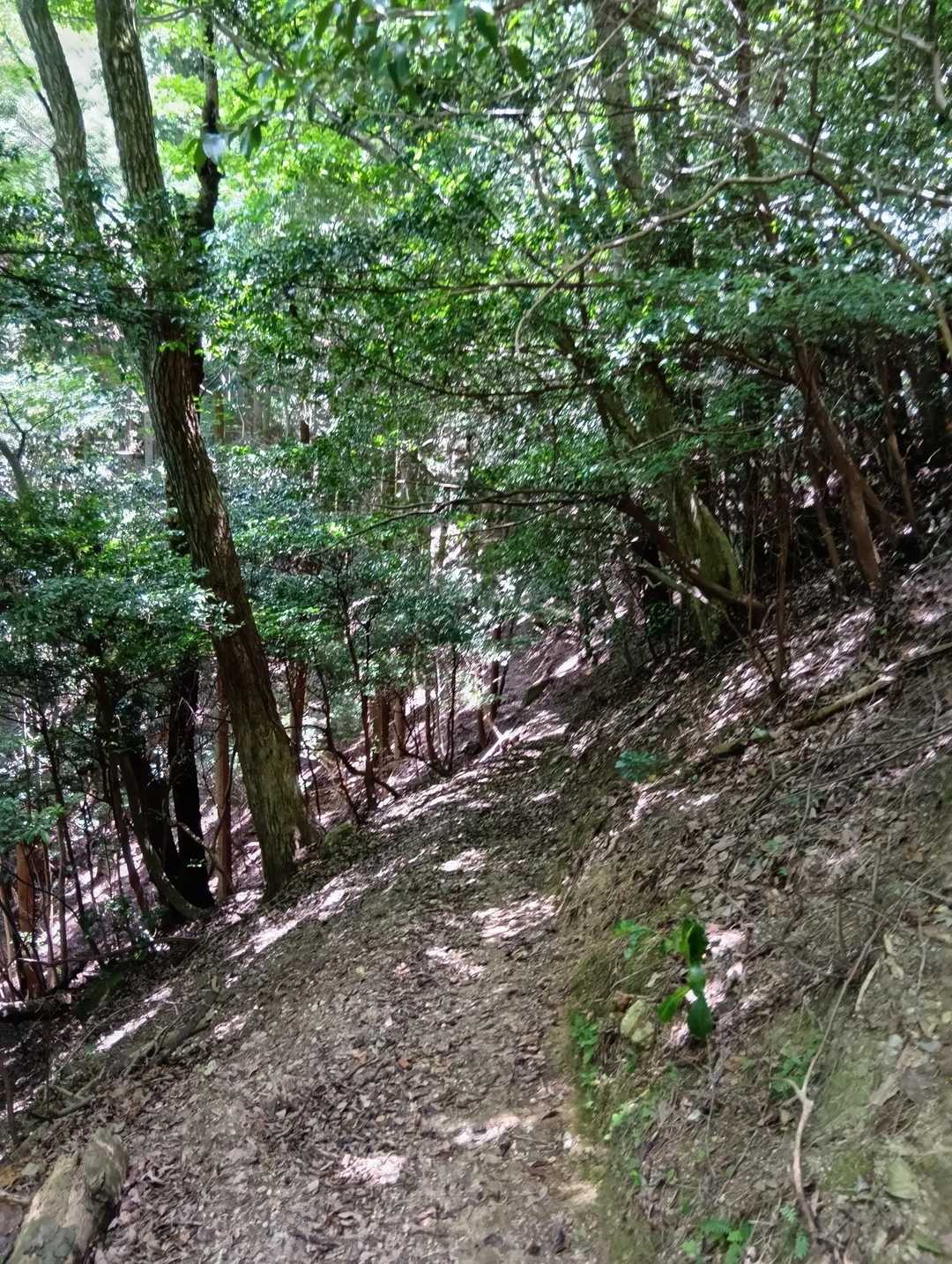 トラバース気味の細い道🍂