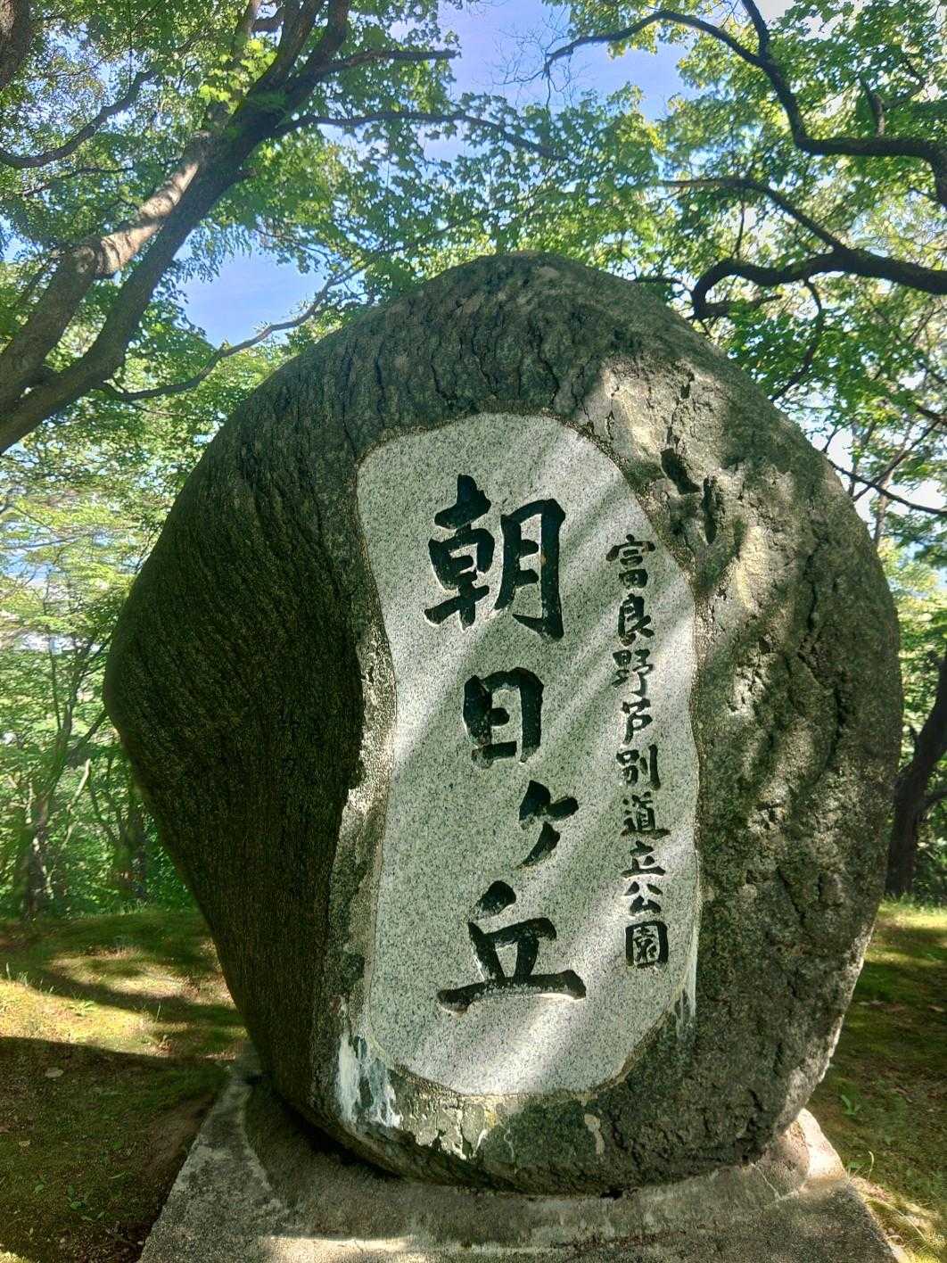 なまこ山 往復コースの写真
