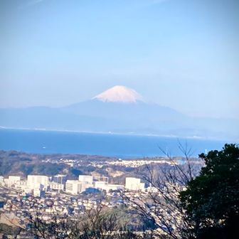 富士見スポット