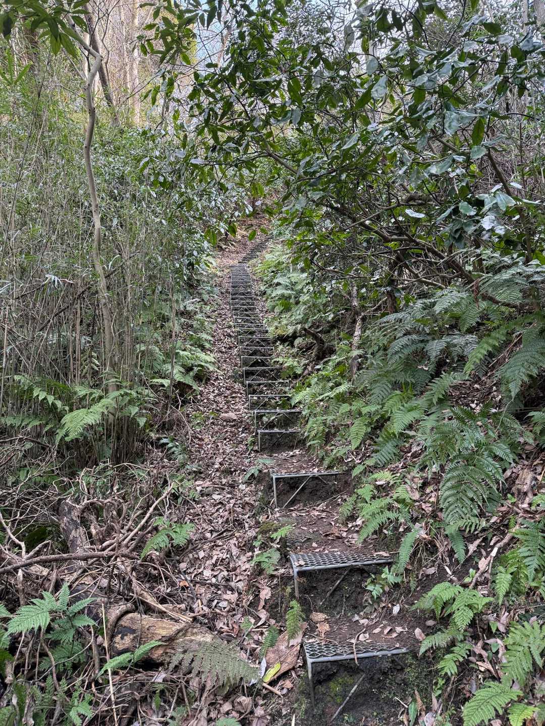 逗子・葉山駅バス停-桜山七丁目バス停-交差点前バス停-阿部 縦走コースの写真