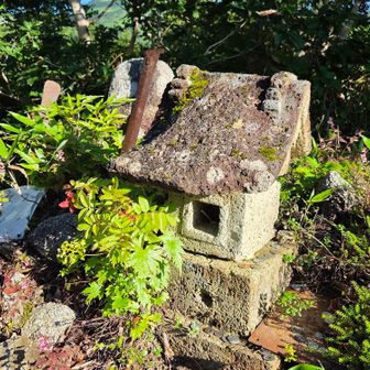 御坪に至り 石祠に朝の参拝
