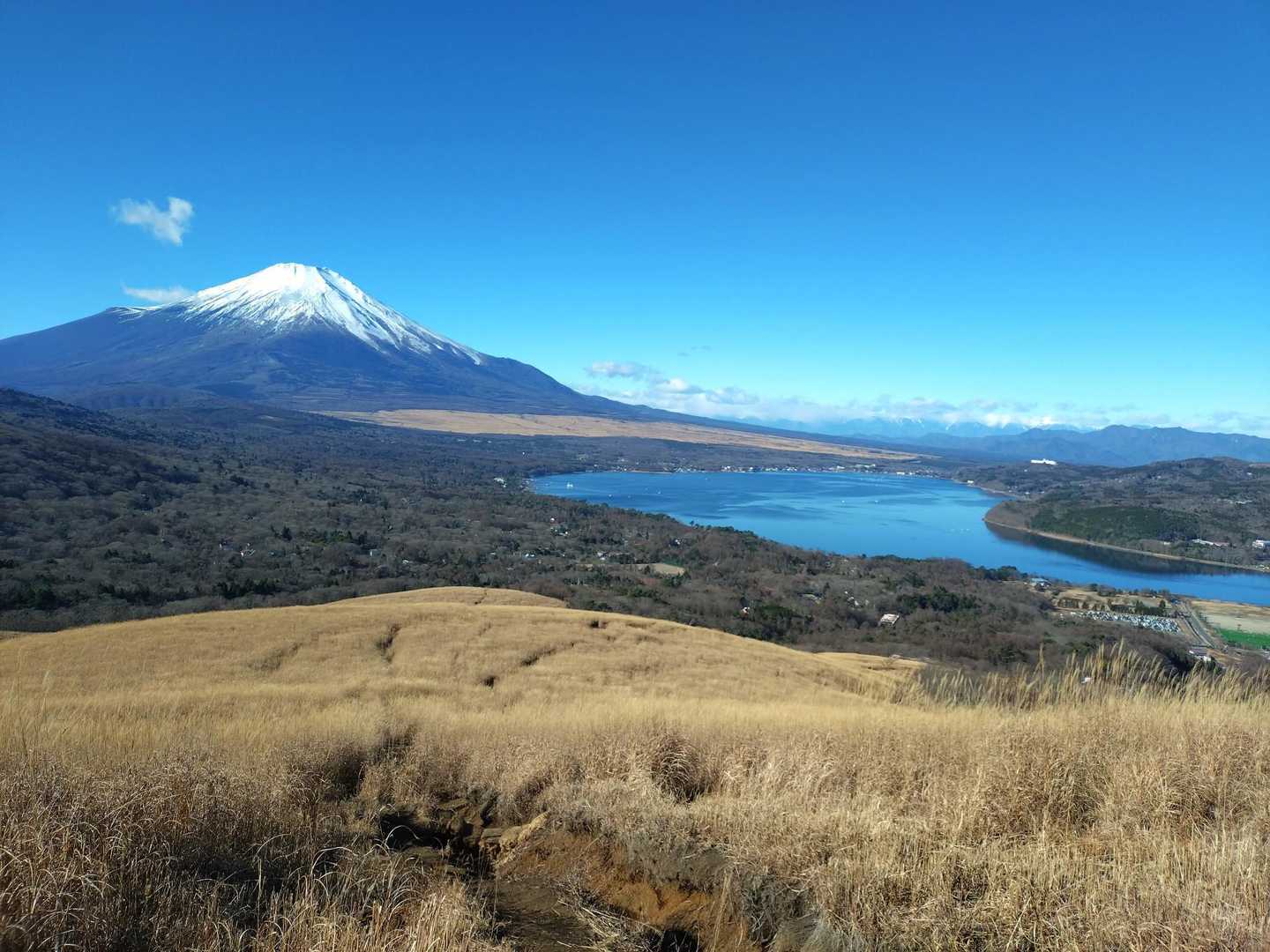 富士山と湖