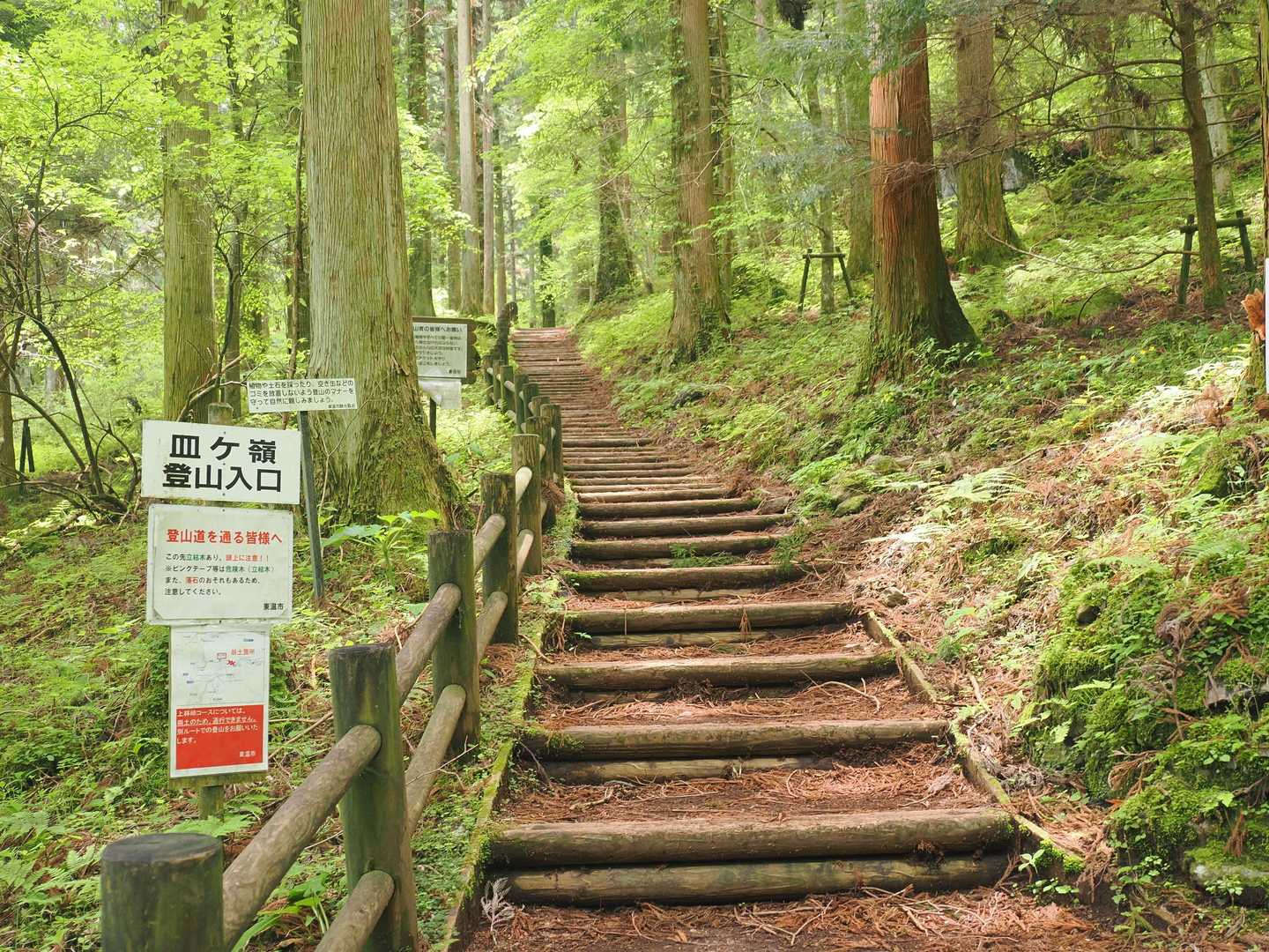風穴コース 周回　の写真