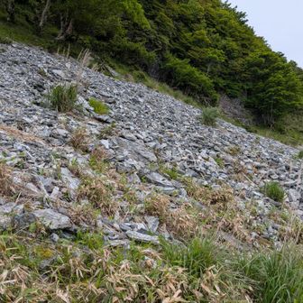 ガレ場も見た目は美しい