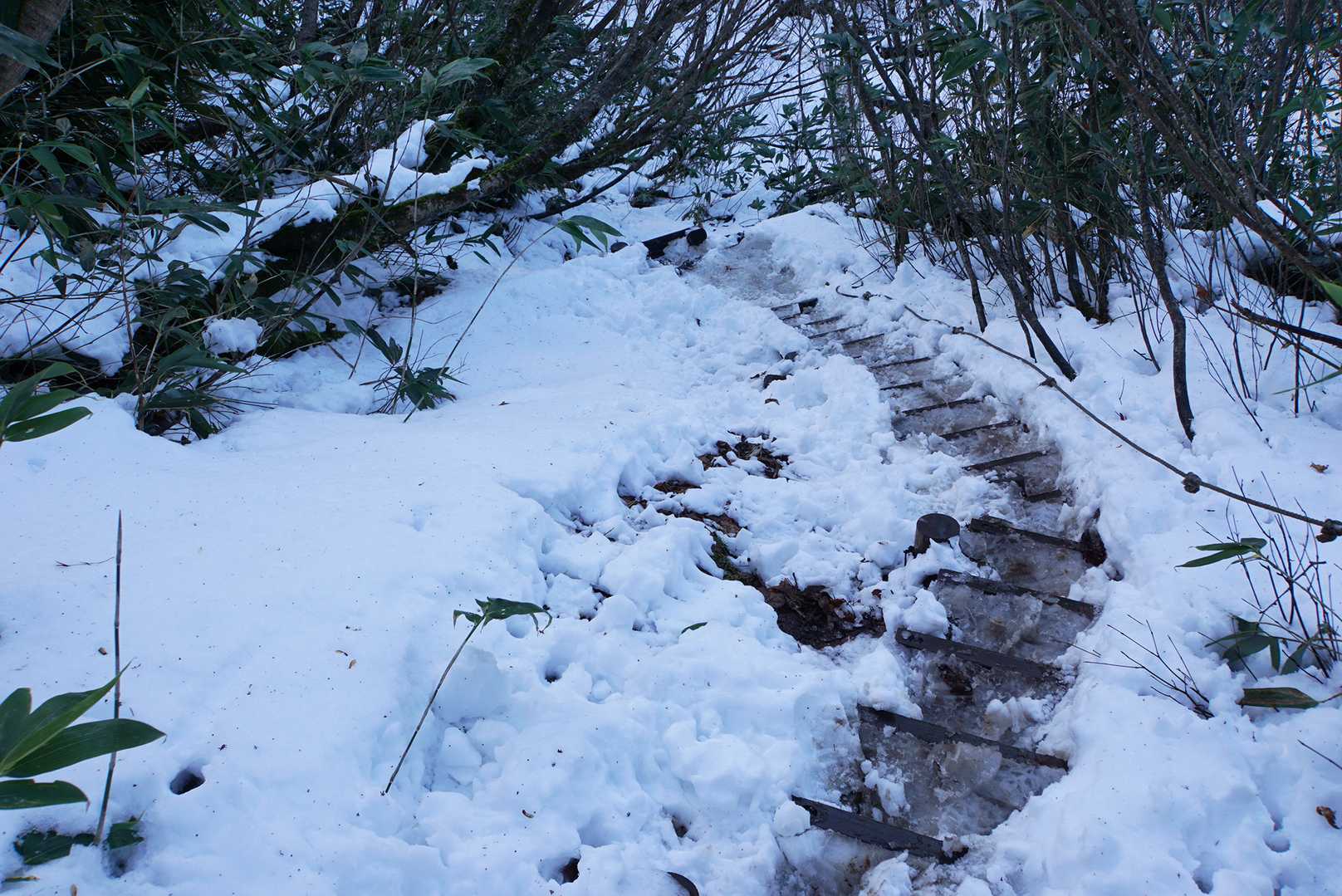 滑落を誘うちょうど良い感じに溶け出した階段は垂涎もの。

面白写真量産ポイントだなって思ったけど、隙のないこのメンバーは誰一人足なんか滑らせなかった。