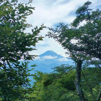 やった！富士山だ
