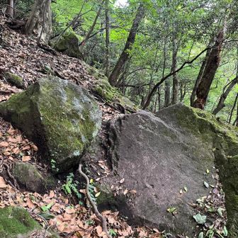 ⚠️岩🪨を乗り越える場所（登山視点）