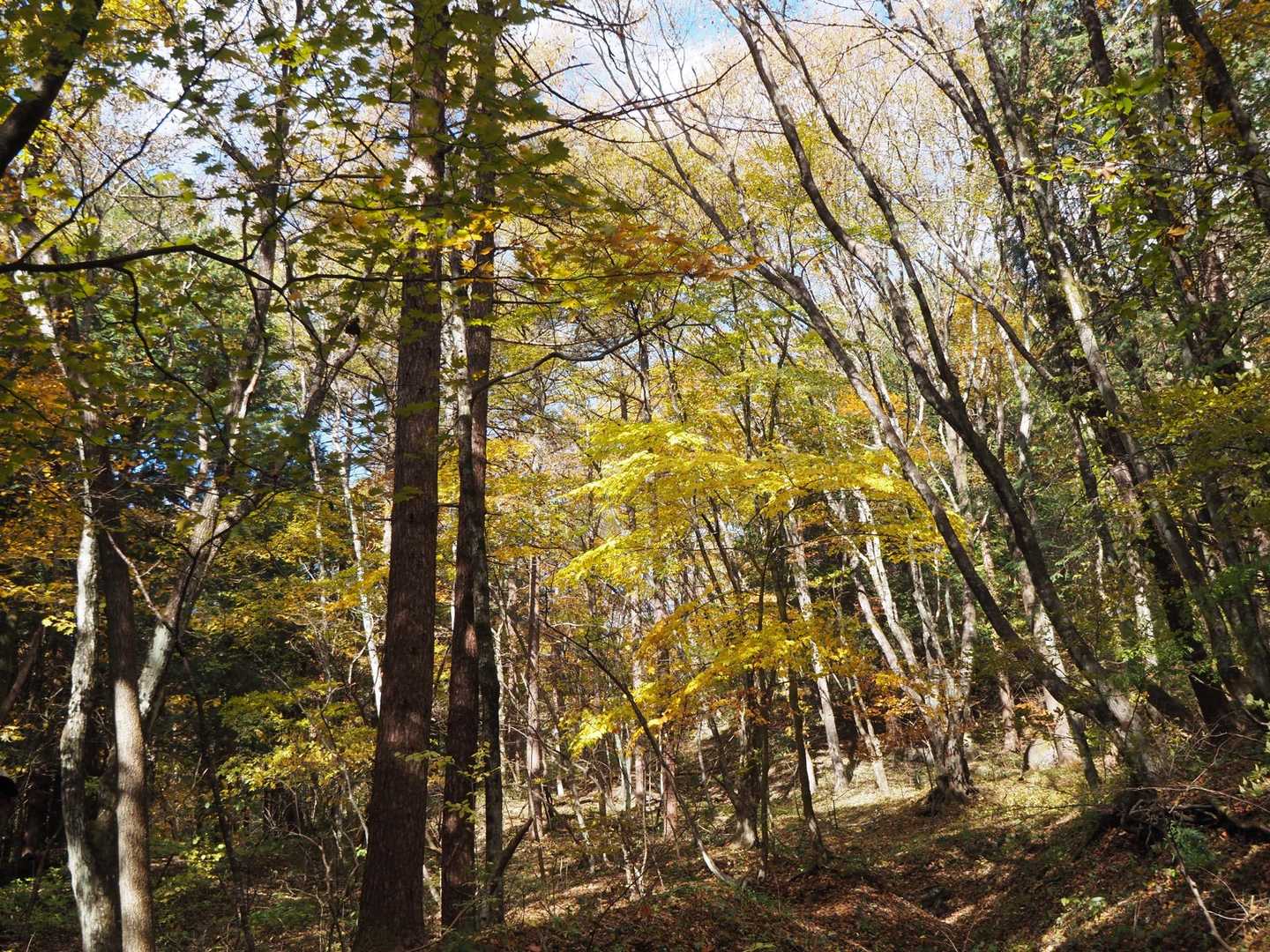 気持ちいい〜