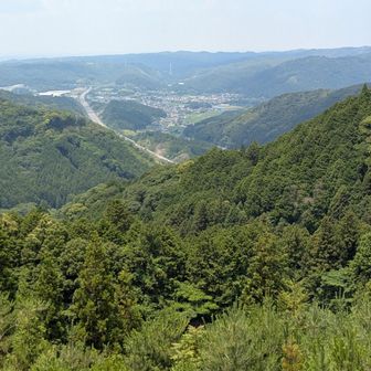唯一の眺望スポット