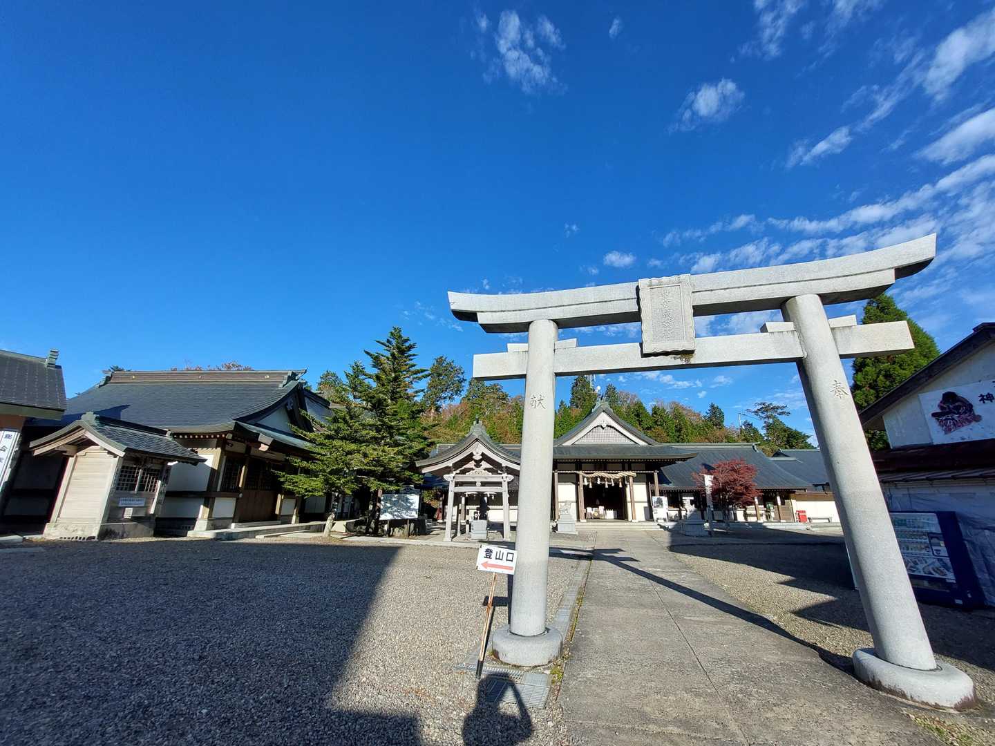 ちゃんとお賽銭入れてお参りしてきましたよ！