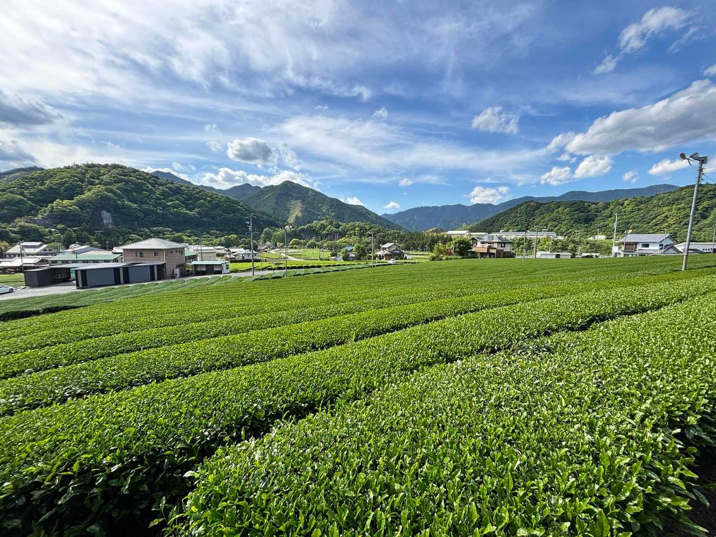 里に降りてきました🥾
一面の茶畑
近くに道の駅の茶倉駅
最後まで見て頂きありがとうございました🙇‍♀️