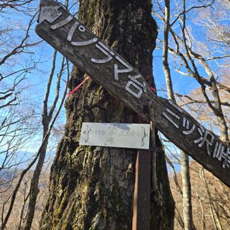 根子峠。パノラマ台前まであと少し