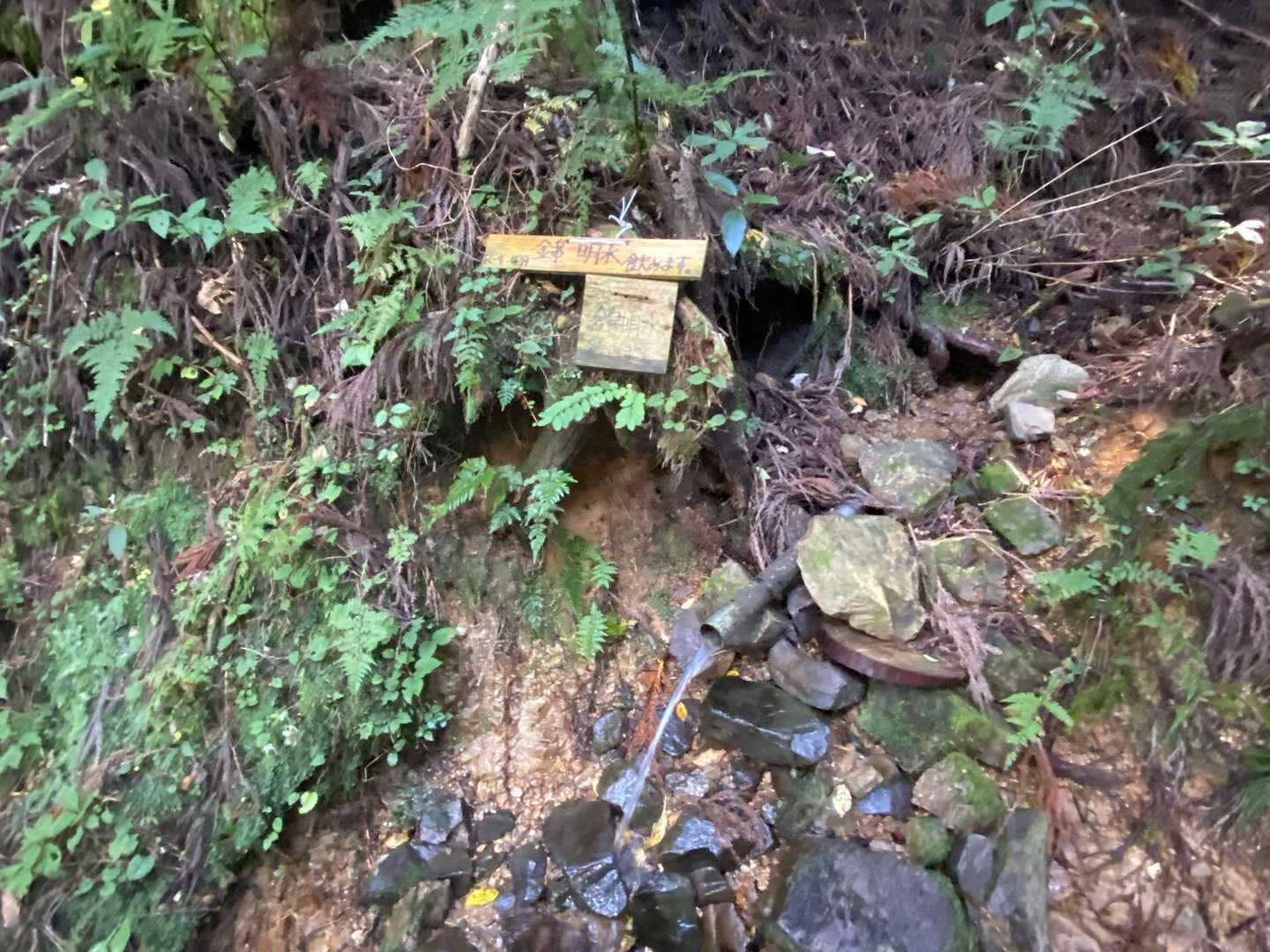 錦明水
手ぬぐいを洗いました💧