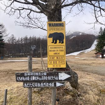 出てこないことを祈ります。