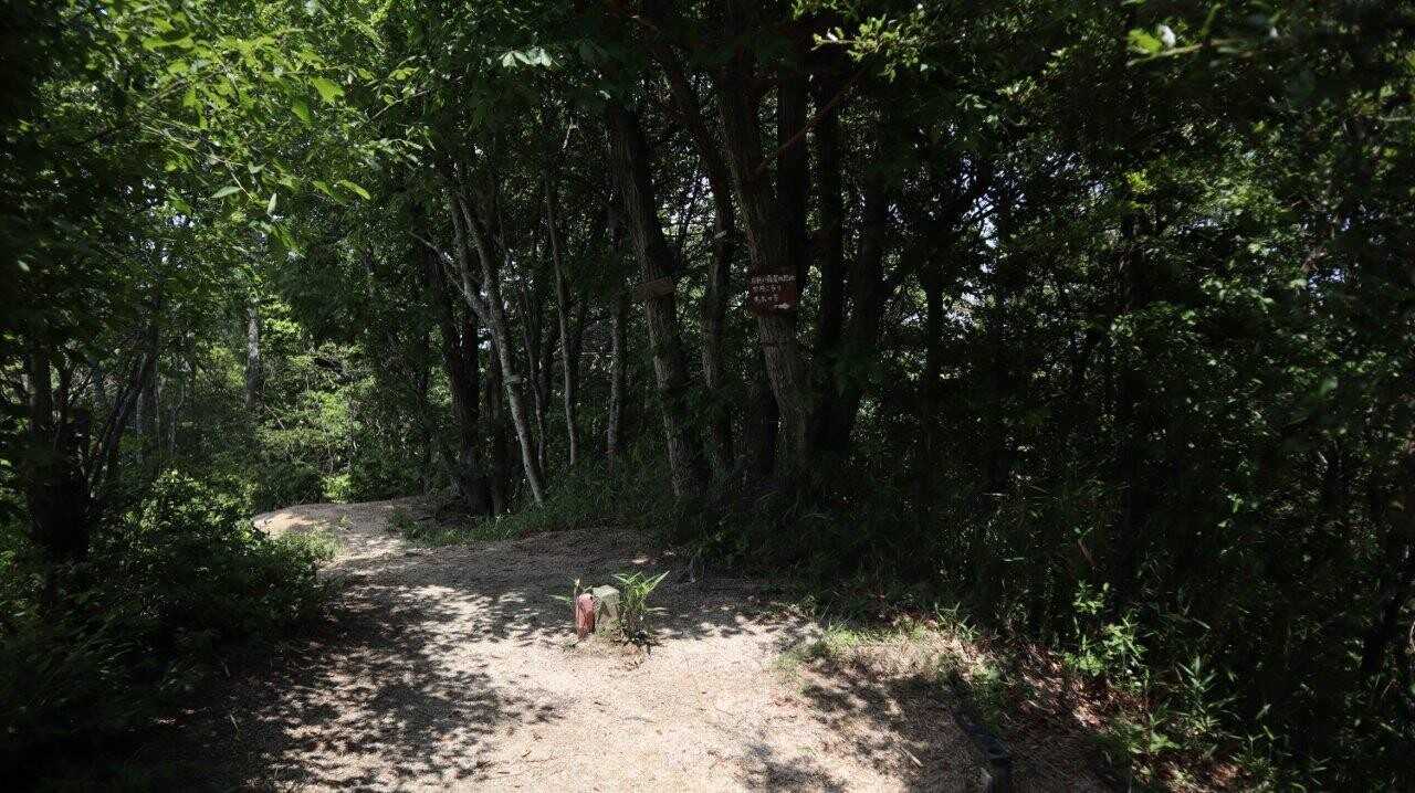 弁財天山の写真