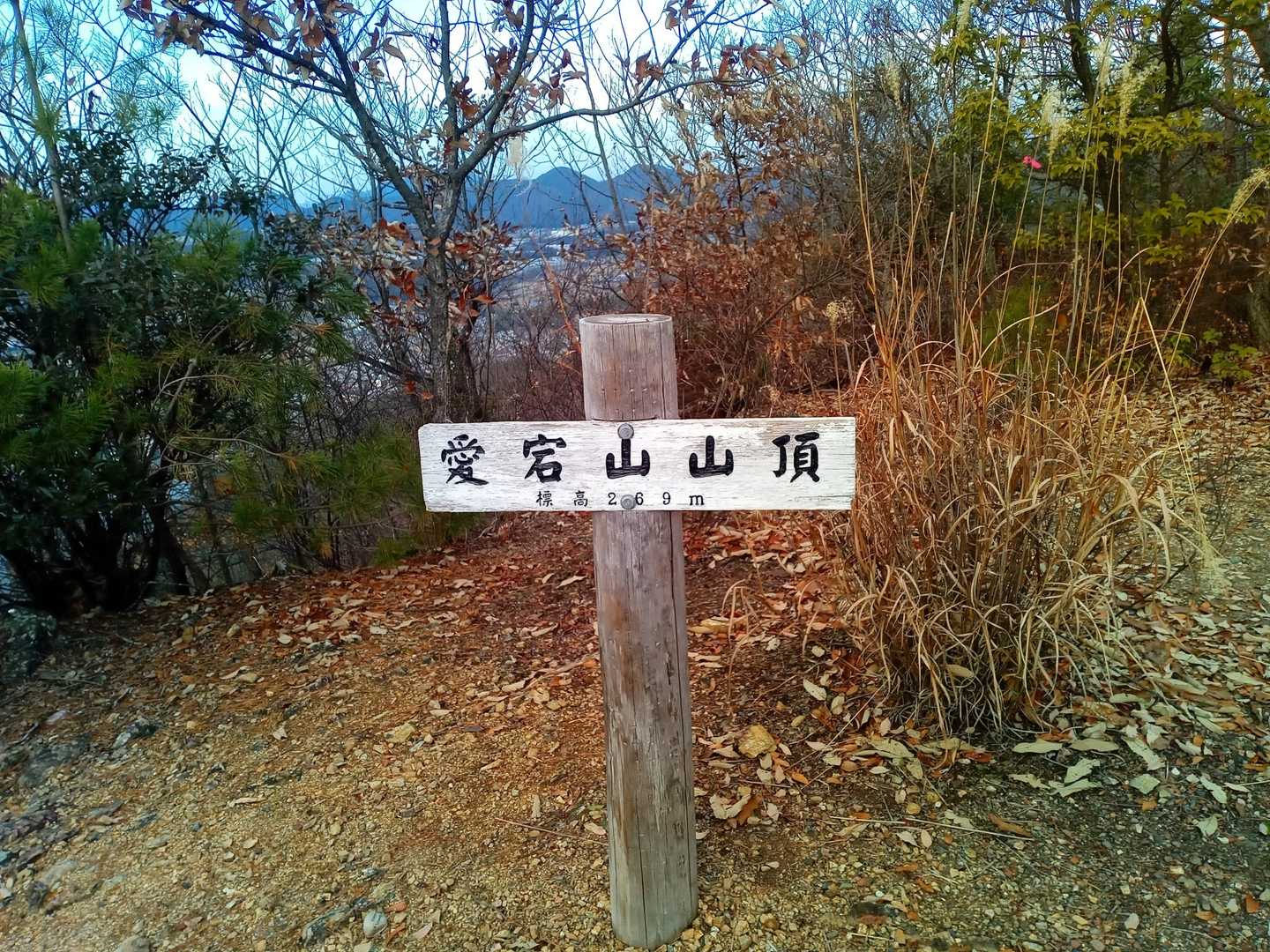 愛宕山到着🙌