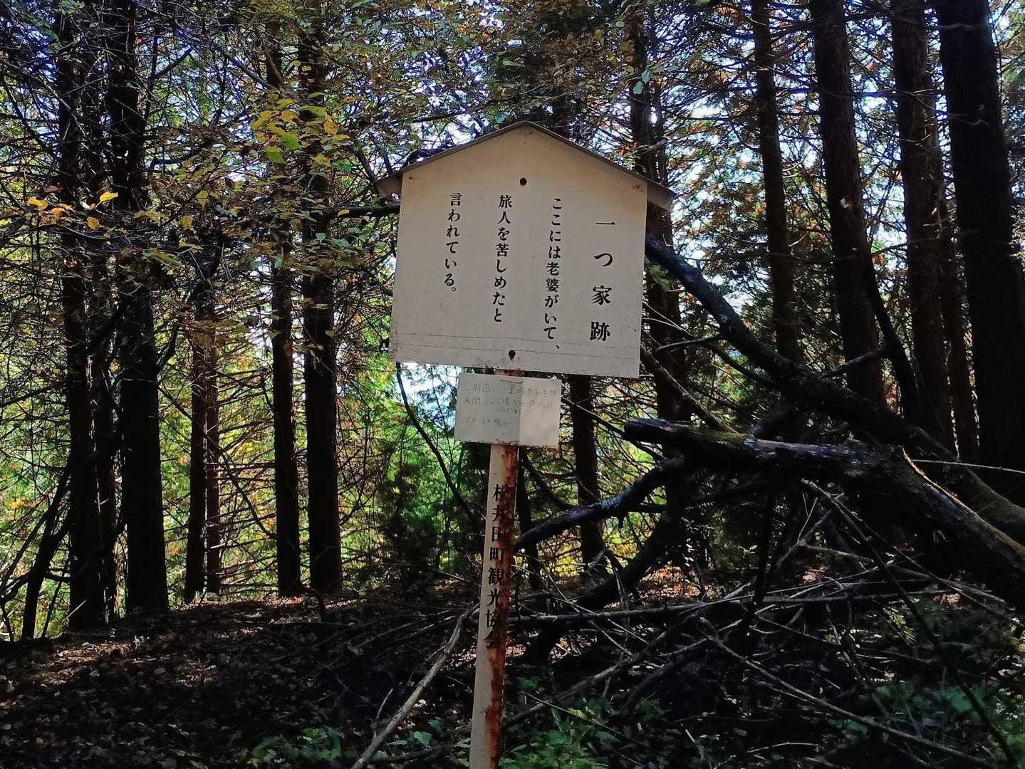 老婆、何したんですかー。