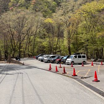 駐車場も余裕でした