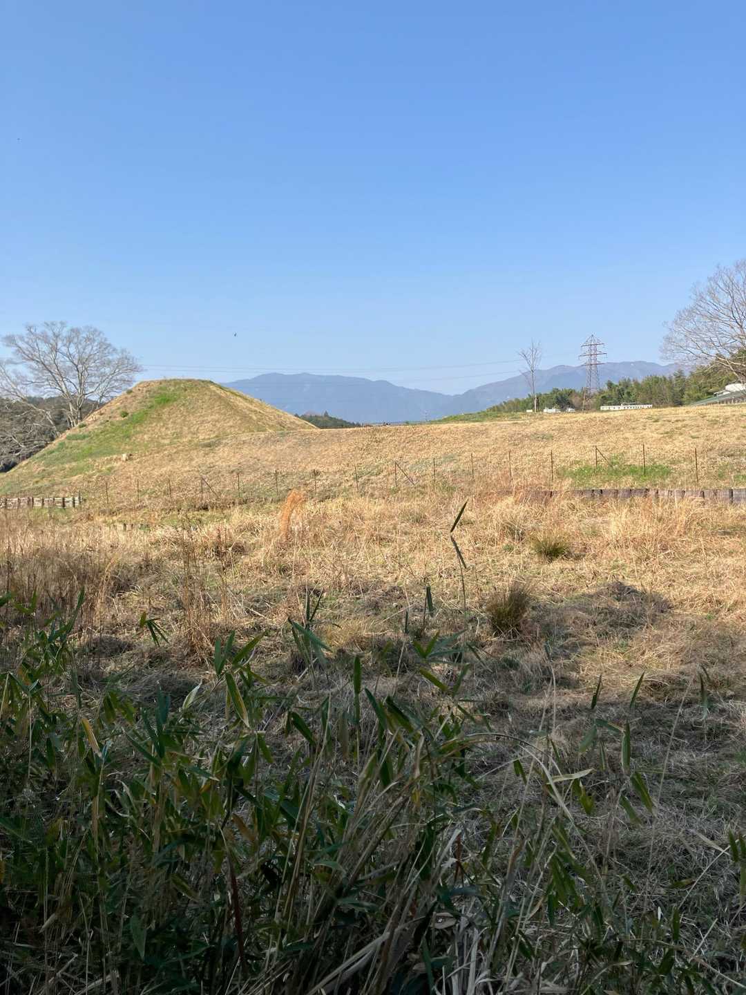 与楽カンジョ古墳北側