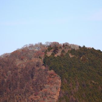 山頂。あそこを目指します。