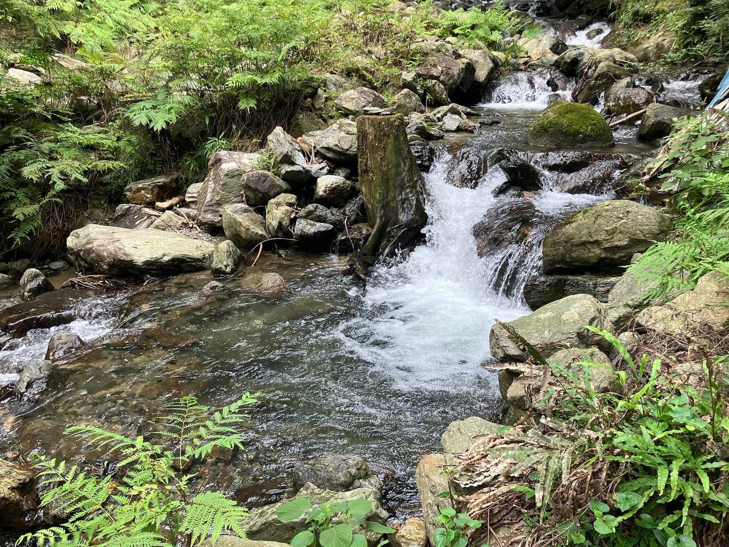 最後にこの場所でドボンしました🎶
冷たくて最高❗️
