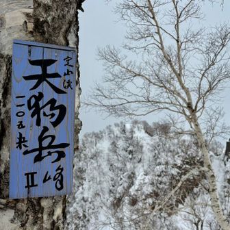 Ⅱ峰着。
平らで広い山頂。快適です。
素晴らしき標識。