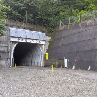 弥山登山口駐車場からスタート。
車は5台停まっていました。道は狭かったですが、朝早かったので対向車はゼロでした😄
涼しいです。