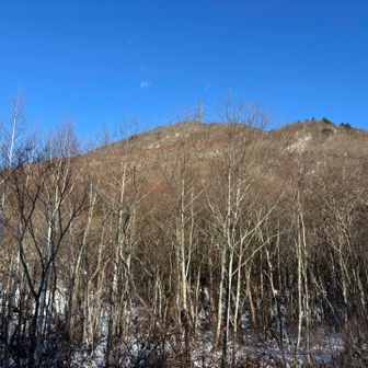 サイコーのシーズン・インでした♪