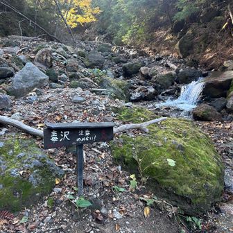 毒沢の水は透明で綺麗
どの辺が毒なのか気になる☠️