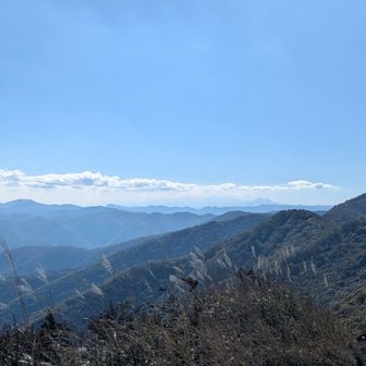 遠くまで見通せるけど､これはどっち方面？
ススキが揺れて「秋ですねえ〜」