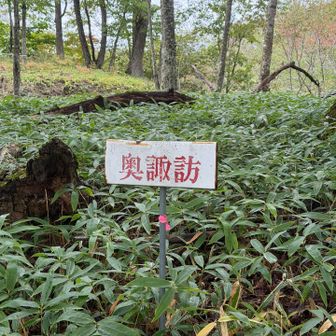 奥諏訪⛰️到着
山と認めてられてない🙄❓