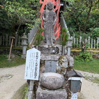 これだけ撮って
5円入れて拝んできましたが
本殿の写真を撮り忘れました😂