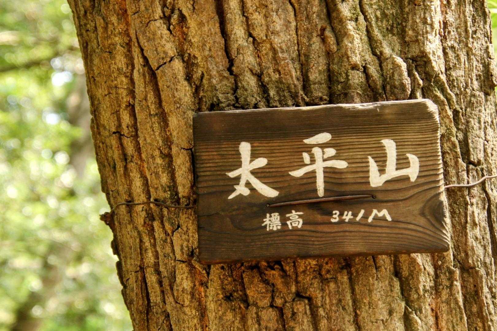 到着💨
