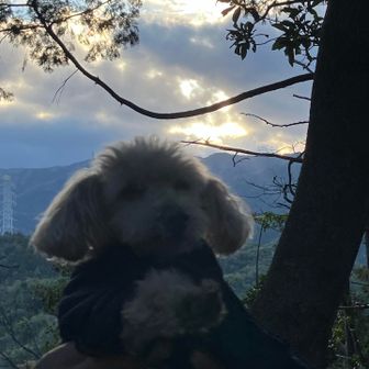 出そうで、でない🌄御来光とラボくん🤣