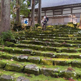 ここ、ツルツルでした。
コケました😝