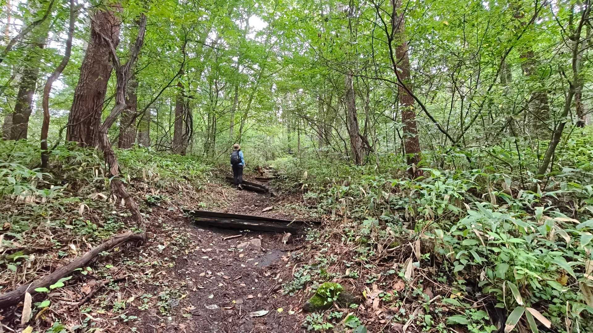 飯盛山は急登はないハイキングコース🙌
整備された段差のある道😅を上がって行きます👣