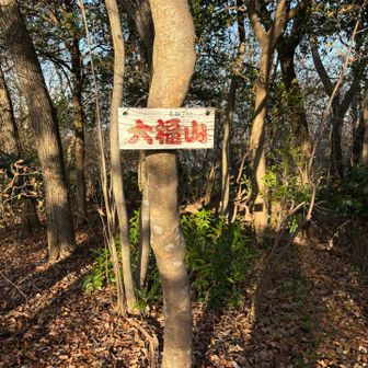 往路で、見逃していた山頂標。

食欲をそそる名称