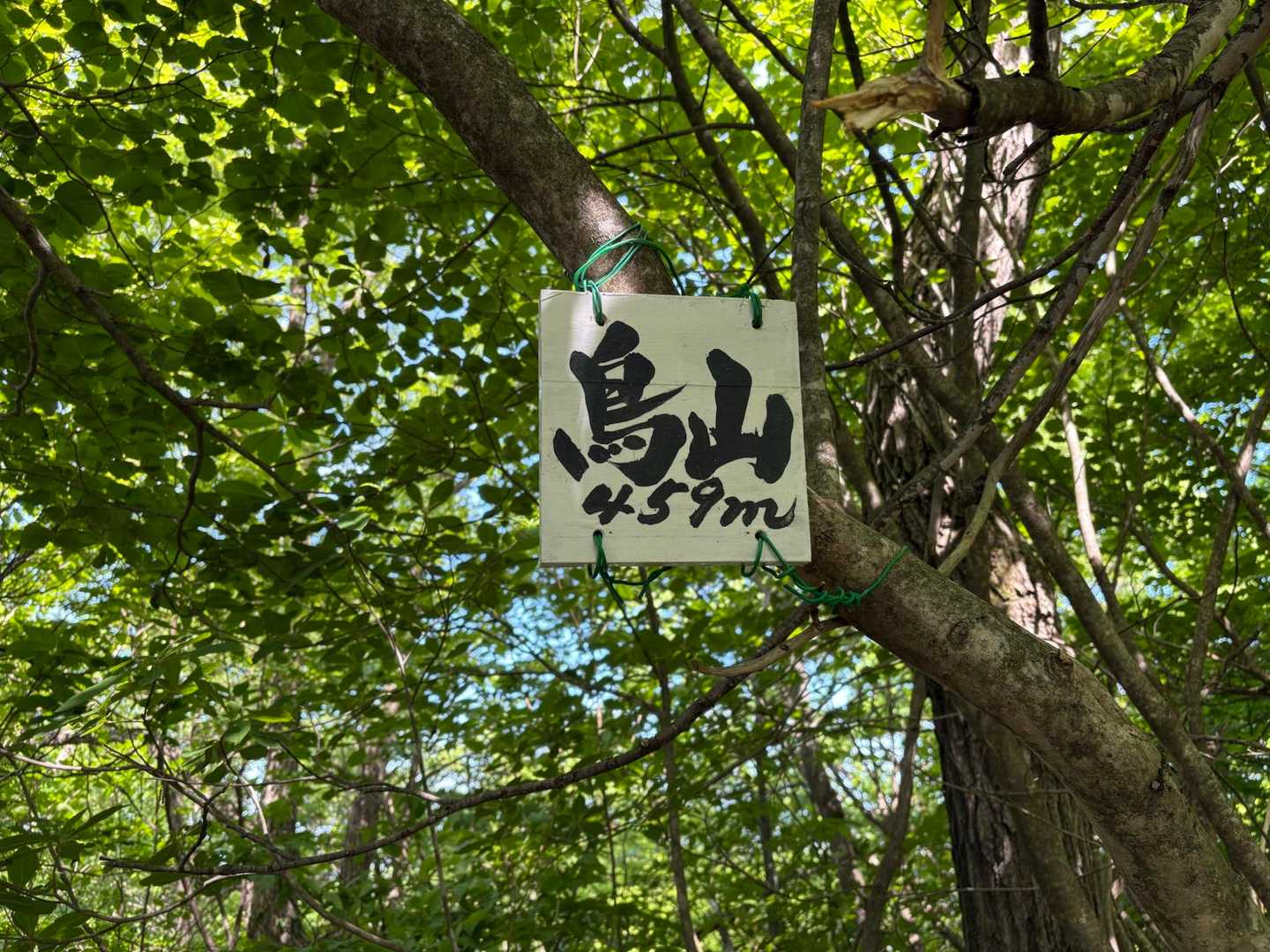 城ヶ平山 | 大岩山日石寺の渓谷から登り、剱岳と富山平野を独占する贅沢な里山巡りの写真