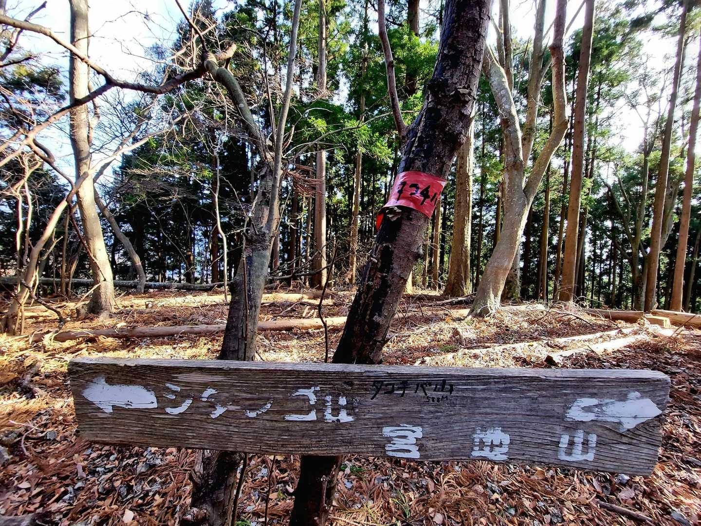 タコチバ山山頂⛰️