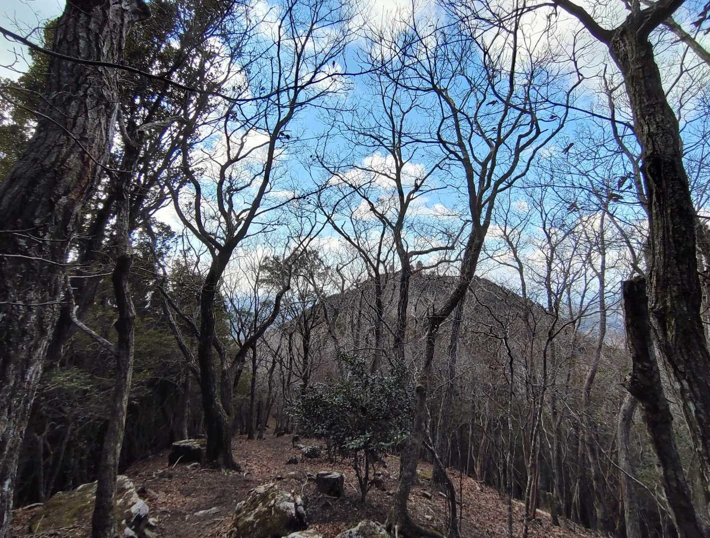 振り返ると真妻山の山頂が✨🤭